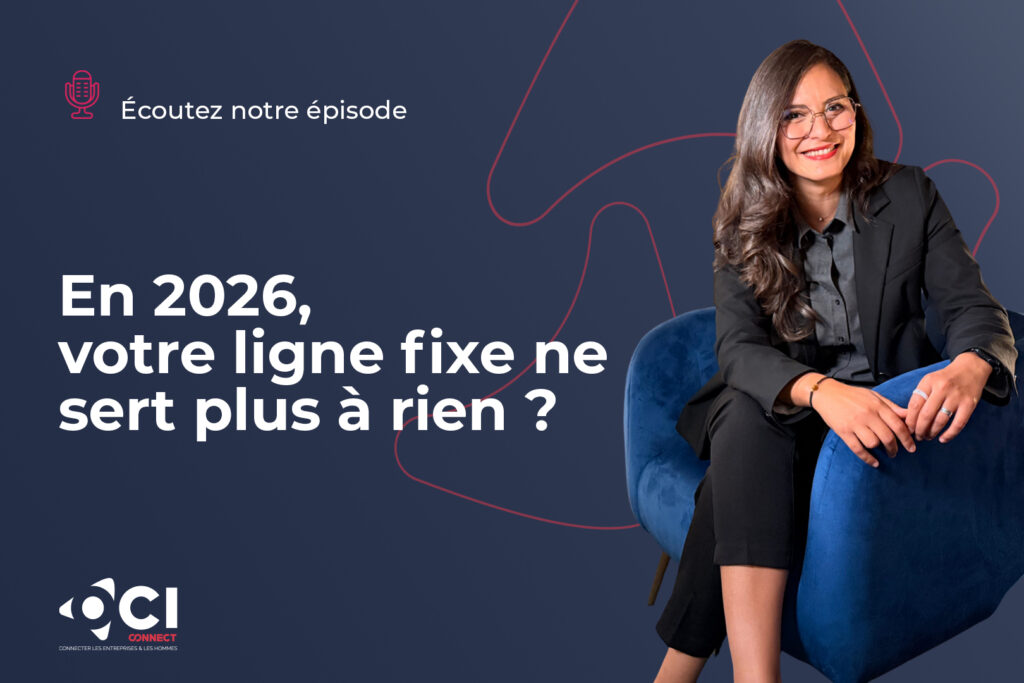 Téléphonie professionnelle