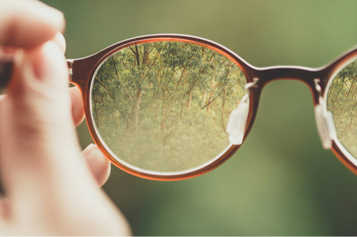Paysage flou avec lunettes en premier plan, au travers desquels on voit un paysage de forêt net
