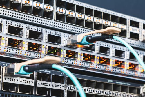 Câbles réseau branchés dans une baie informatique